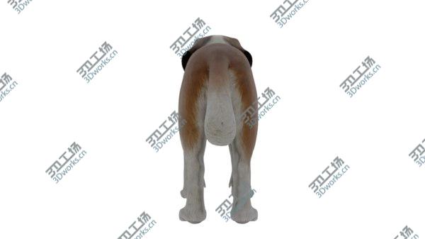 images/goods_img/20210312/3D model Sumo The Dog(1)/5.jpg